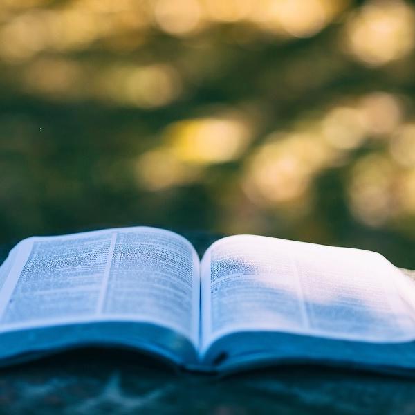 Libro literatura